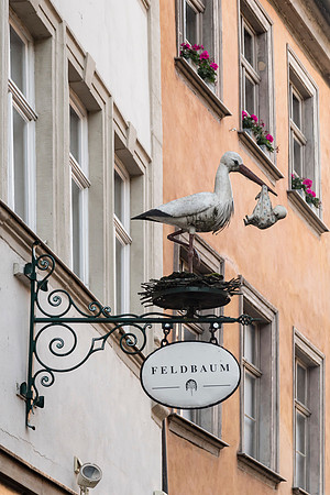 201910 River Cruise-3439