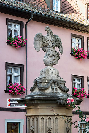 201910 River Cruise-3468