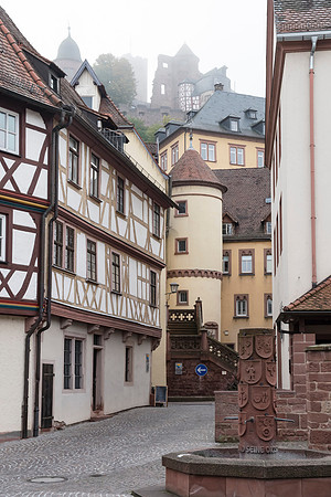 201910 River Cruise-4917