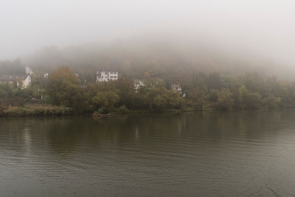201910 River Cruise-4859