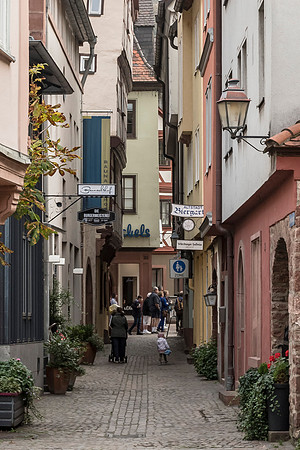 201910 River Cruise-4955