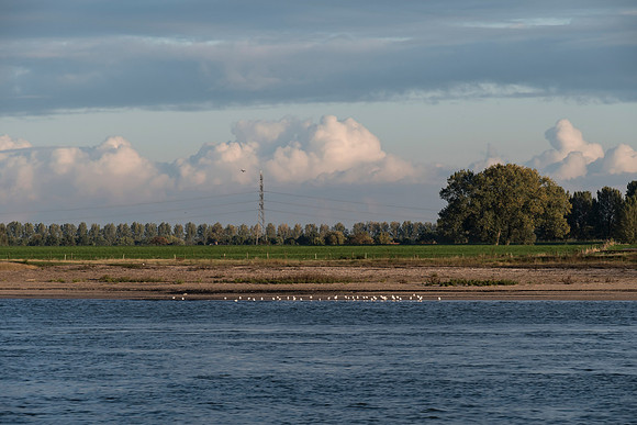 201910 River Cruise-6434
