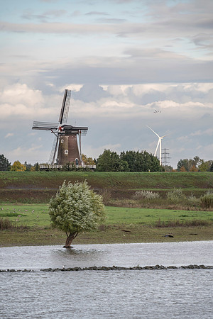 201910 River Cruise-6516