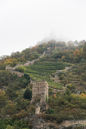 201910 River Cruise-1876
