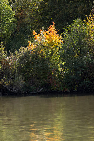 201910 River Cruise-2798