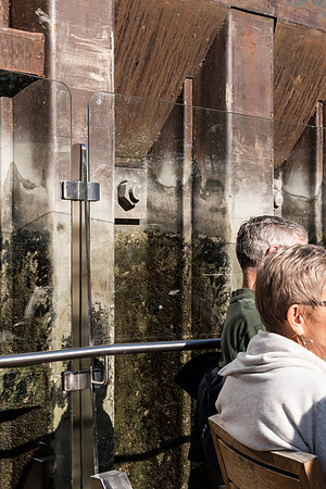 201910 River Cruise-2874