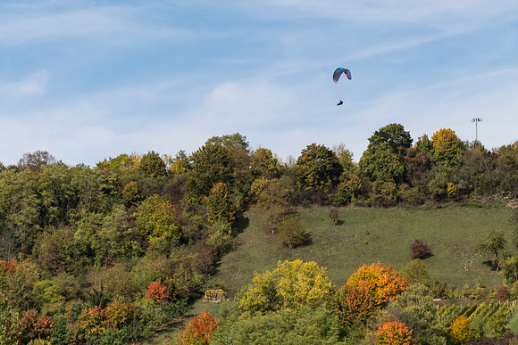 201910 River Cruise-2799